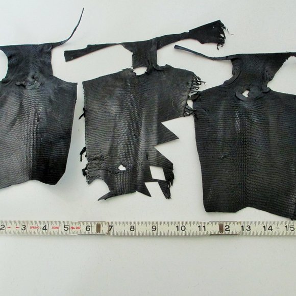 BUNDLE OF EXOTIC LIZARD SKINS AND SNAKESKIN - Picture 3 of 16